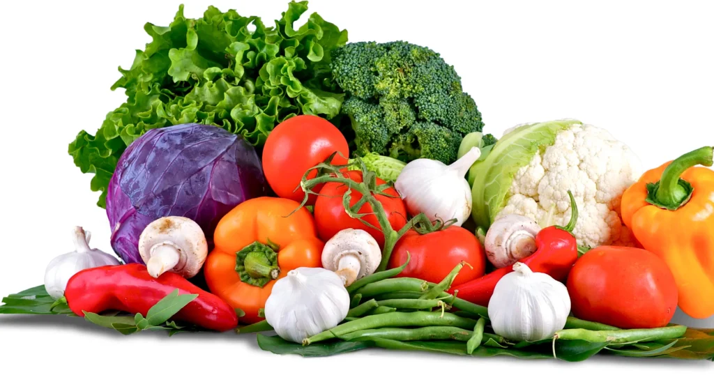 vegetarian dog food recipe