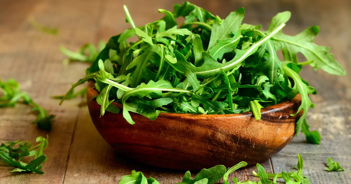Can dogs eat arugula