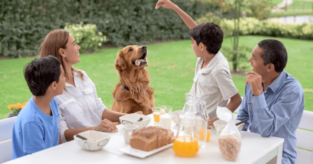dangers of feeding dogs table scraps