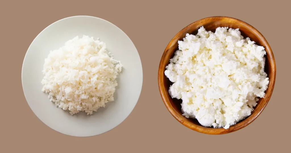 can dogs have cottage cheese