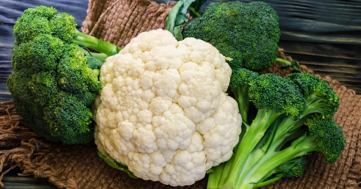 Can dogs eat broccoli and cauliflower
