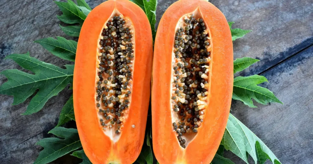 can dogs eat papaya seeds