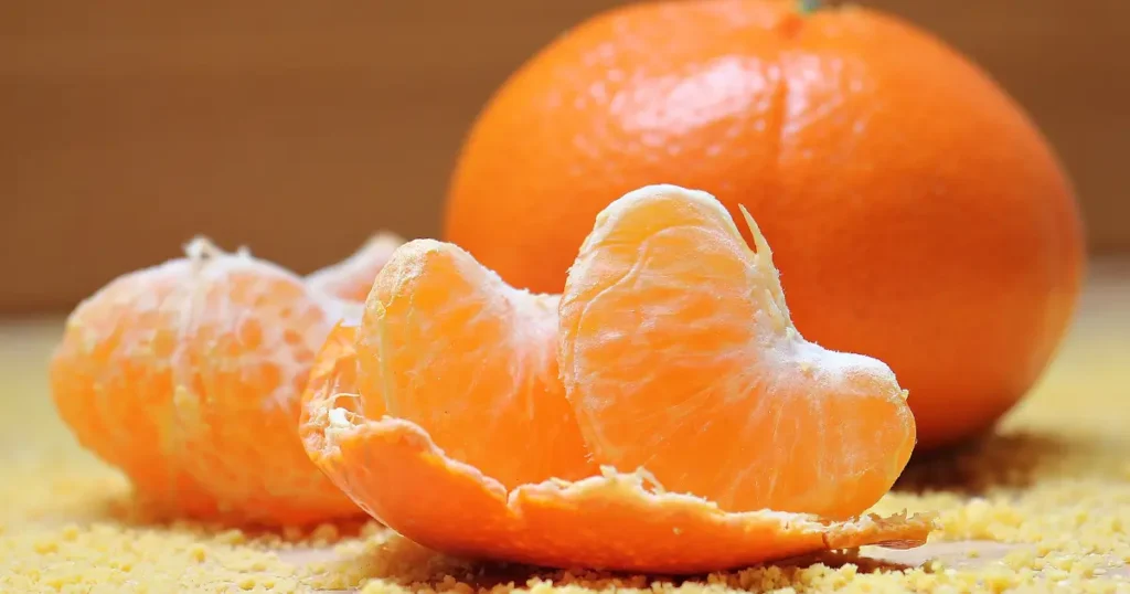 can dogs have mandarin oranges