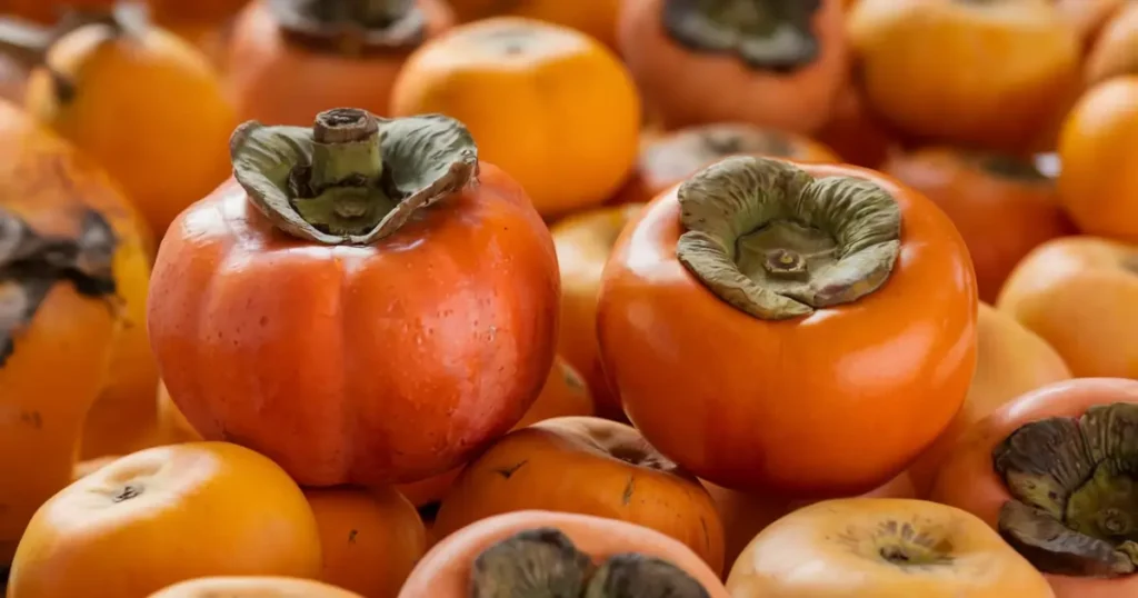 can dogs have persimmons