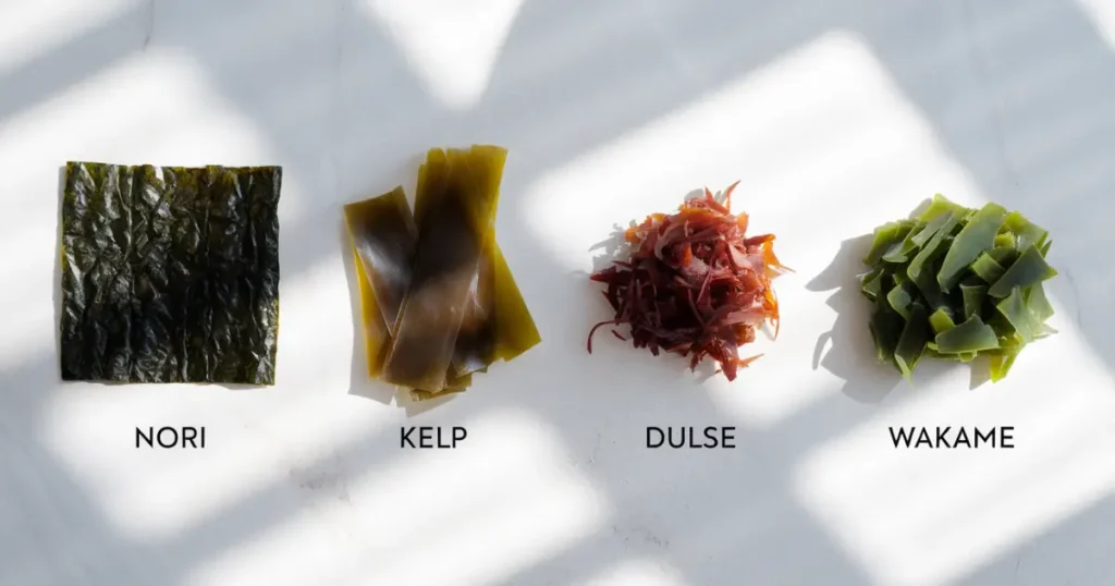 can dogs have seaweed