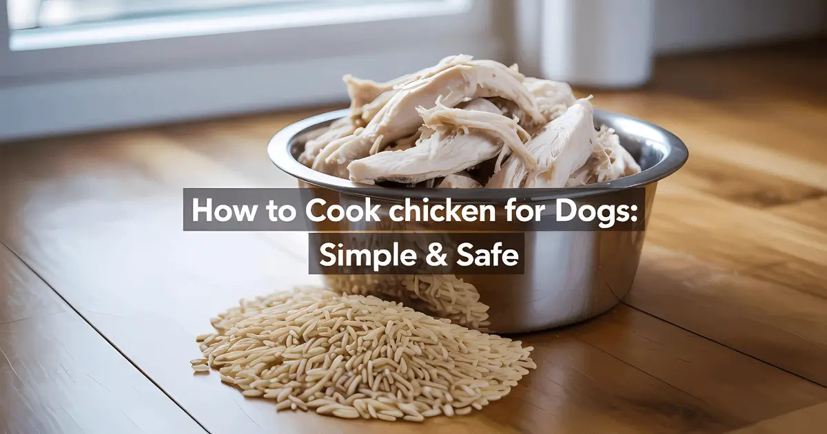 how to cook chicken for dogs