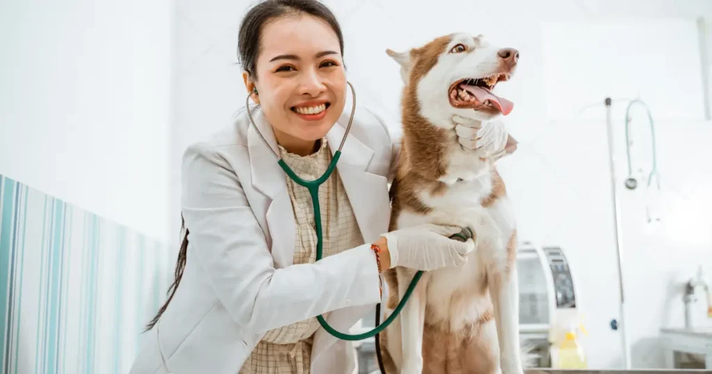 is granola good for dogs