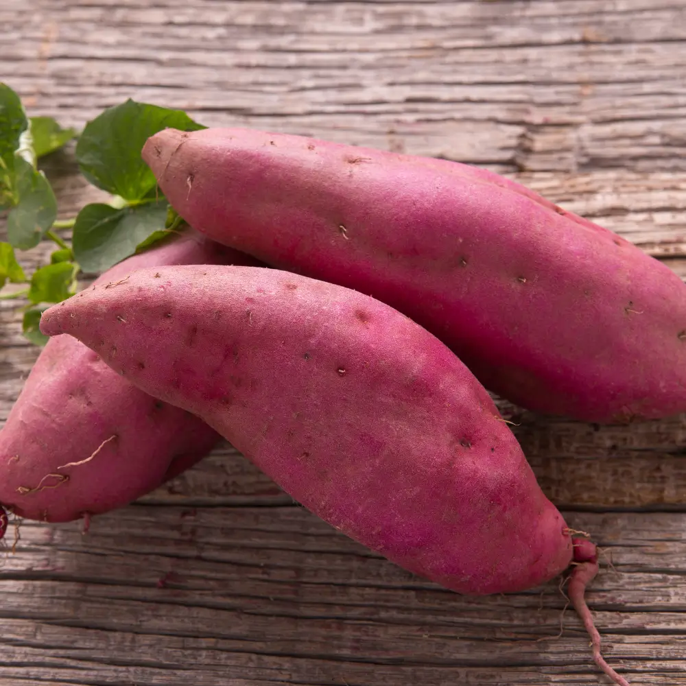 sweet potato dog snacks