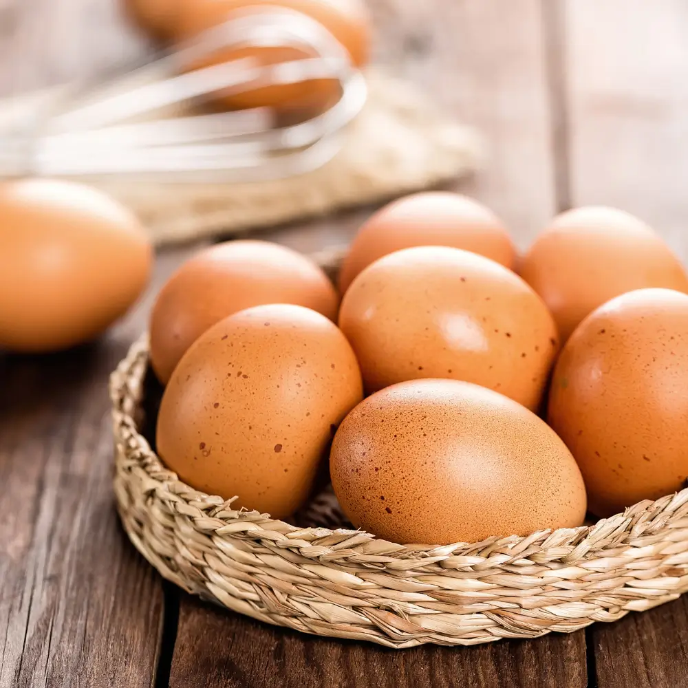 eggs