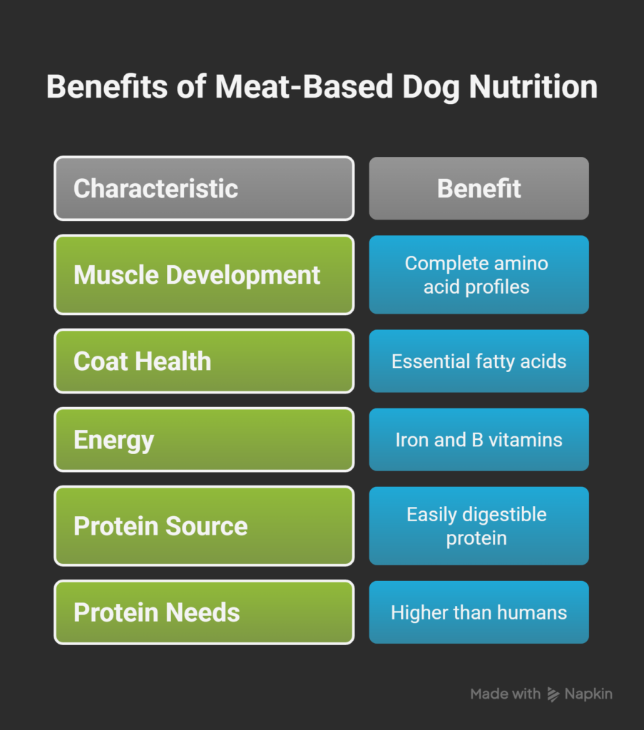 high-protein dog meals