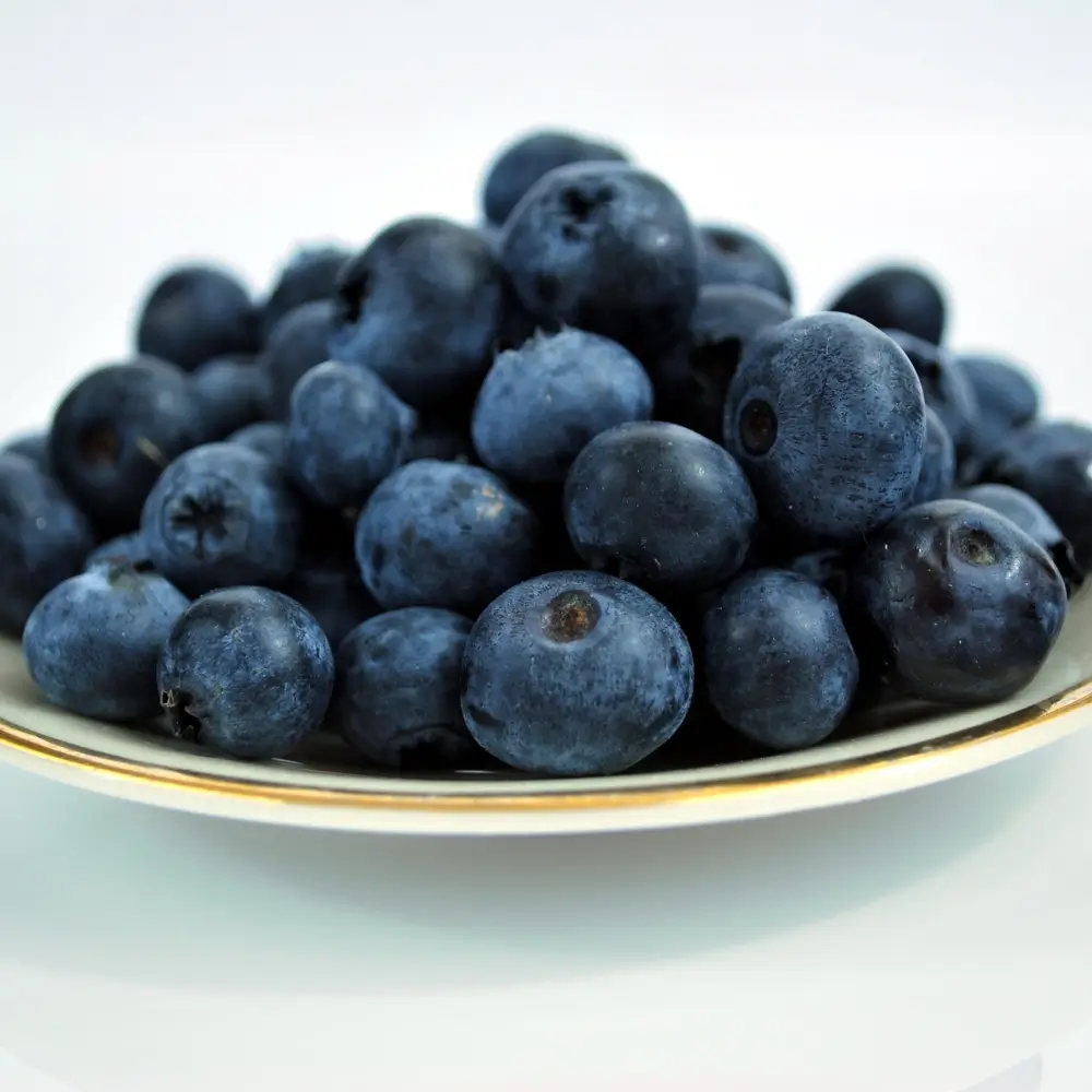 Blueberry (1)