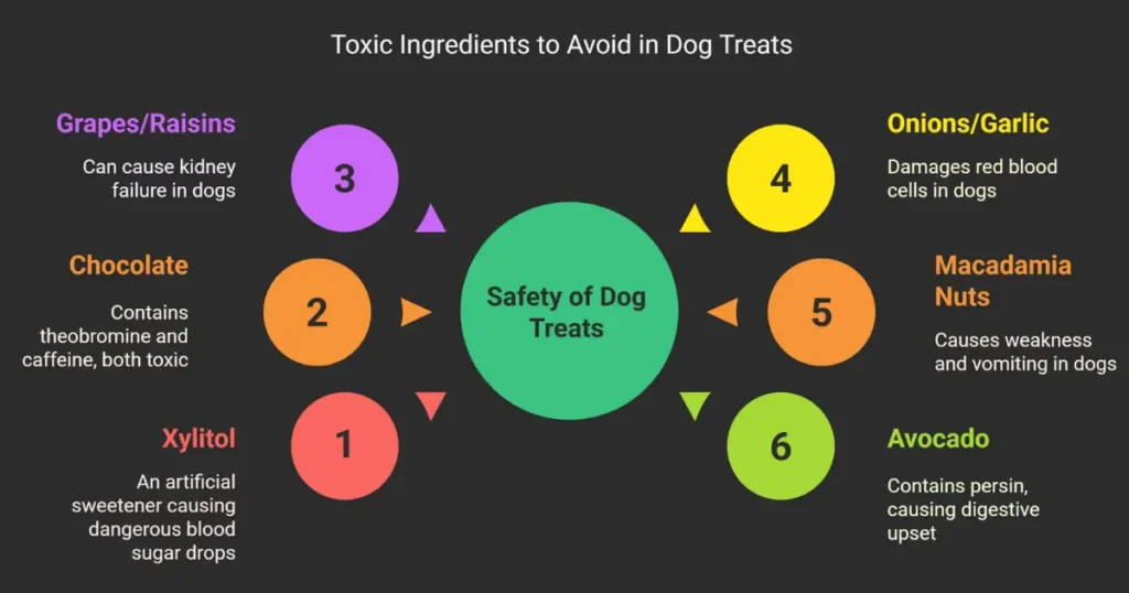 Essential Safety and Preparation Guidelines