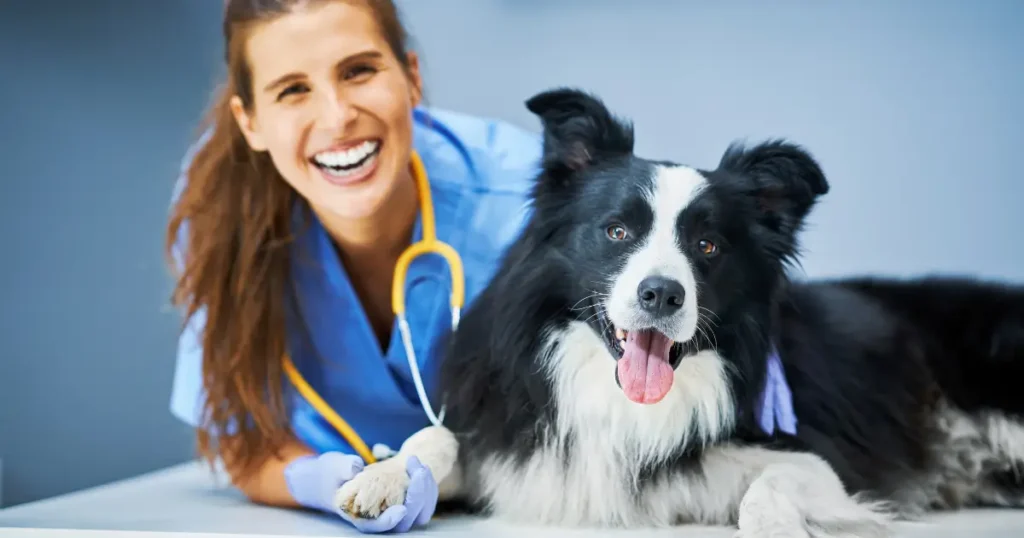 Veterinary-Approved Benefits